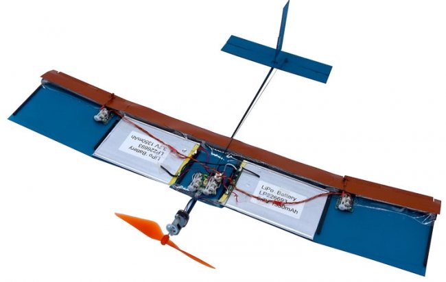 Для миниатюрных летающих дронов предложен новый тип крыла - «Новости сети»