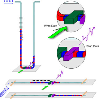 Шаг к пониманию: магнитная трековая память может работать подобно нейронам в мозге человека - «Новости сети»