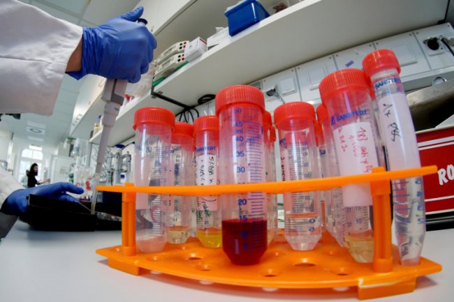Британские исследователи надеются завершить разработку вакцины от коронавируса в сентябре - «Новости сети»