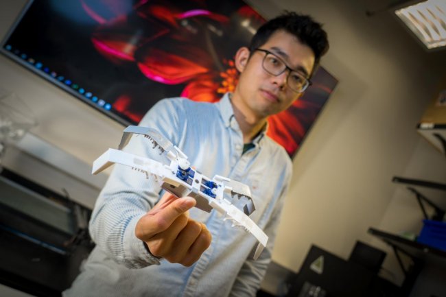 Ученые научились печатать насекомоподобных 3D-роботов в считанные минуты - «Новости сети»