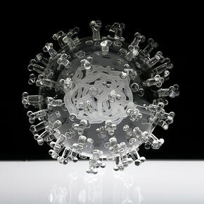 В России запустили портал для научных публикаций о коронавирусе - «Интернет»