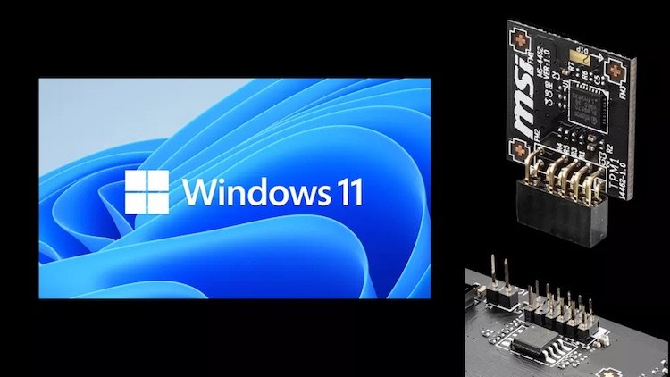 Анонс Windows 11 привёл к дефициту TPM-модулей - «Новости сети»