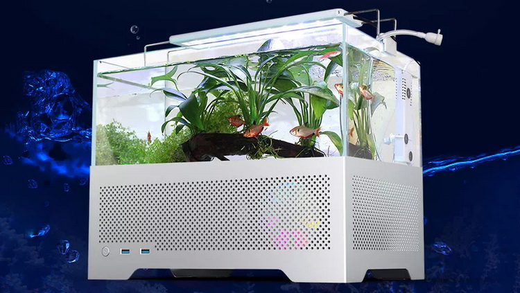 В Китае выпустили компьютерный корпус со встроенным аквариумом для рыбок - «Новости сети»