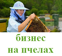 Бизнес с пчелами - «Заработок в интернете»