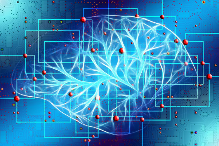 Человеческий мозг использует квантовые вычисления, подозревают учёные - «Новости сети»