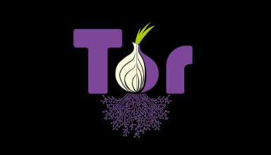 Новые WebTunnel мосты Tor имитируют HTTPS-трафик - «Новости»
