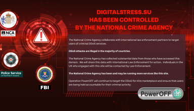 Правоохранители заявили о взломе сервиса DigitalStress для DDoS-атак по найму - «Новости»