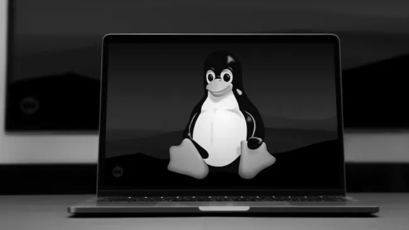 Linux-ноутбук на Snapdragon X1 Elite отменён — заточенный под Windows процессор сильно тормозит с другой ОС - «Новости сети»
