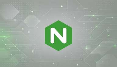 Зафиксированы первые случаи эксплуатации свежего бага в NGINX - «Новости»
